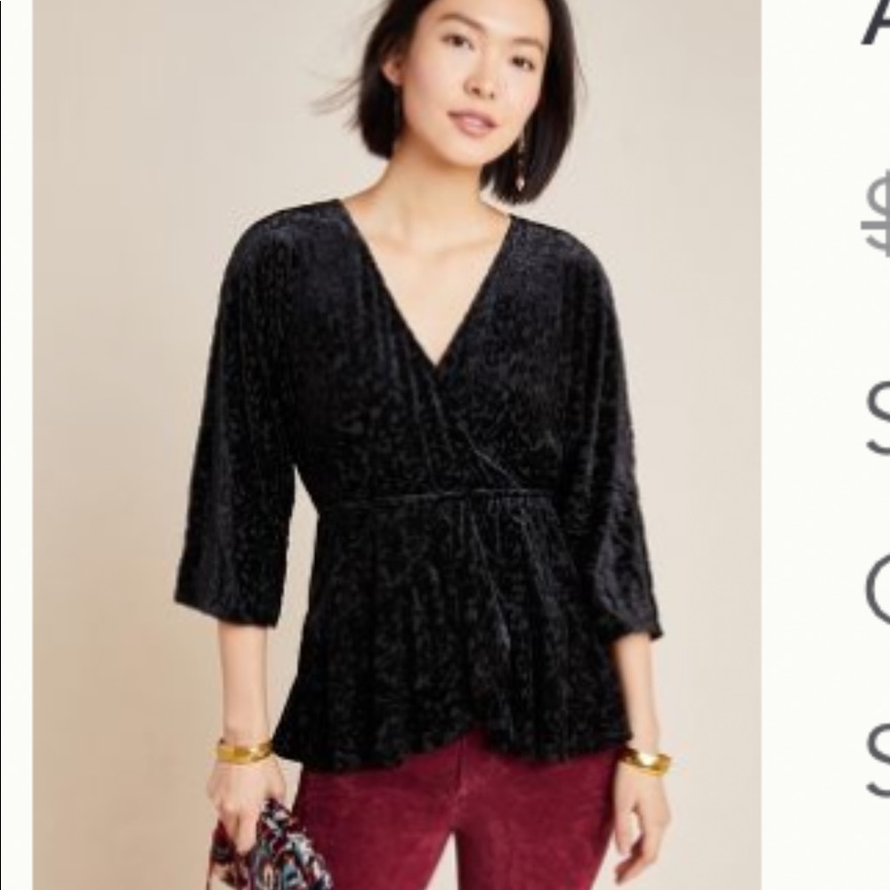 Anthropologie Alesia velvet burnout top sz L NWT